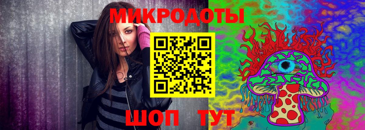 Псилоцибиновые грибы Psilocybe Соликамск