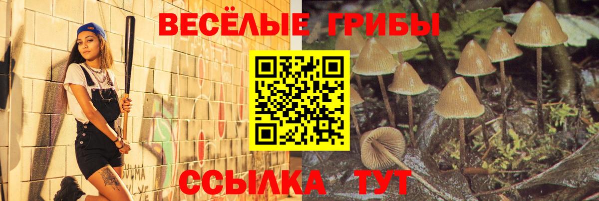 Галлюциногенные грибы Psilocybine cubensis  Псилоцибиновые грибы GOLDEN TEACHER  Соликамск  Вход с VPN 